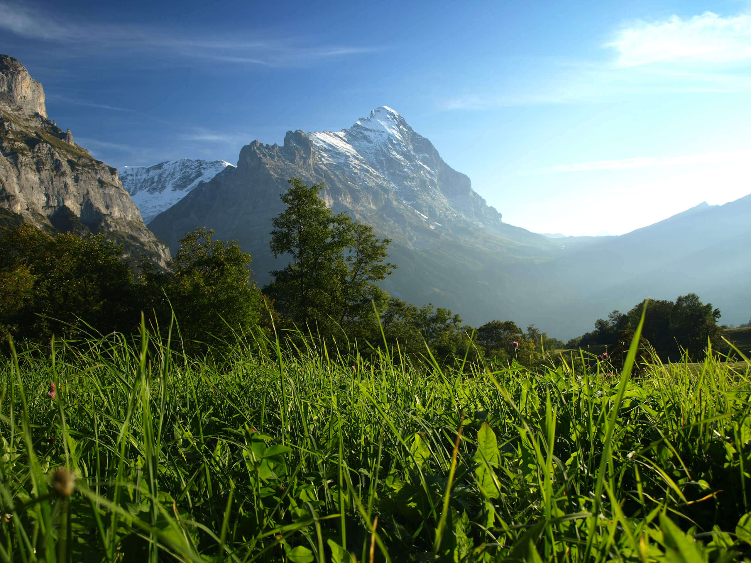 a valley beneath a mountain