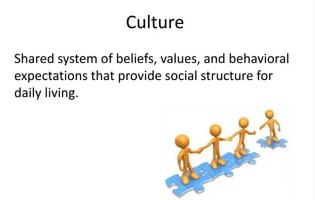 cultural values in nursing
