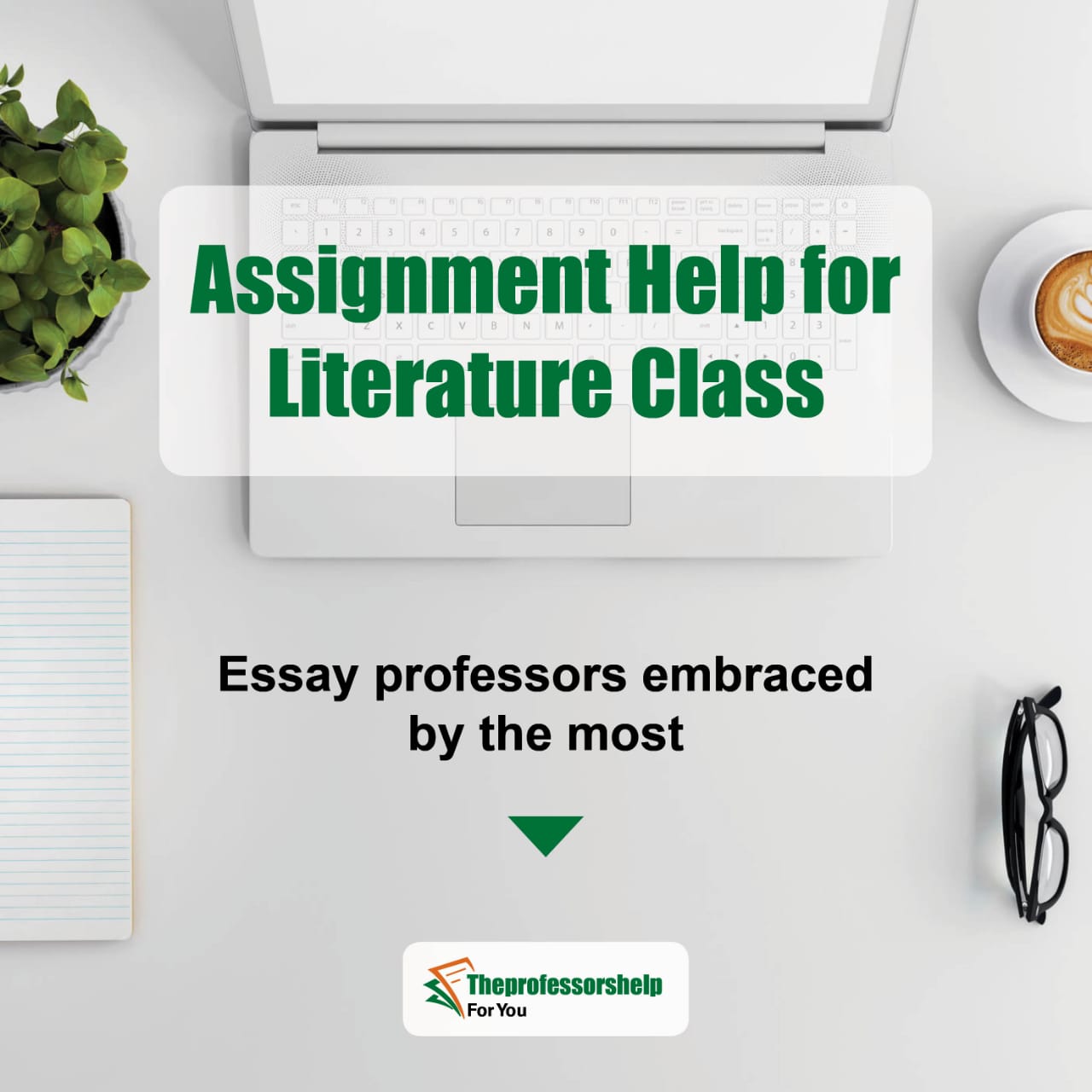 Essay writing service for literature at theprofessorshelp